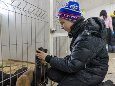 В Казани наградили школьника, спасшего щенят от гибели на железнодорожном переезде