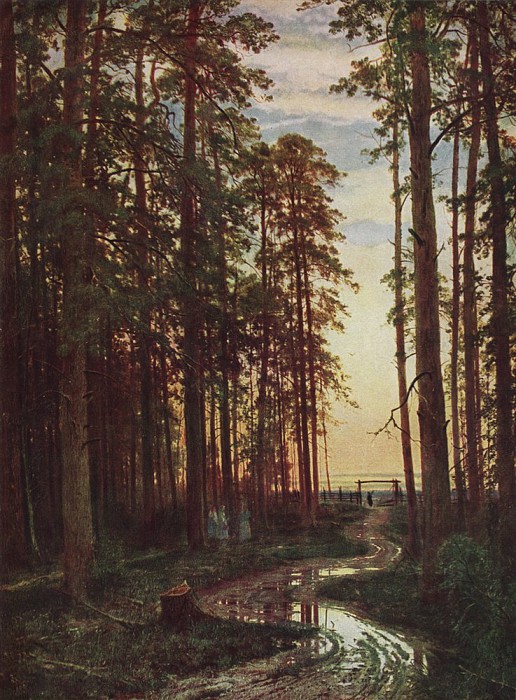 История картины «Вечер в сосновом лесу» Ивана Шишкина