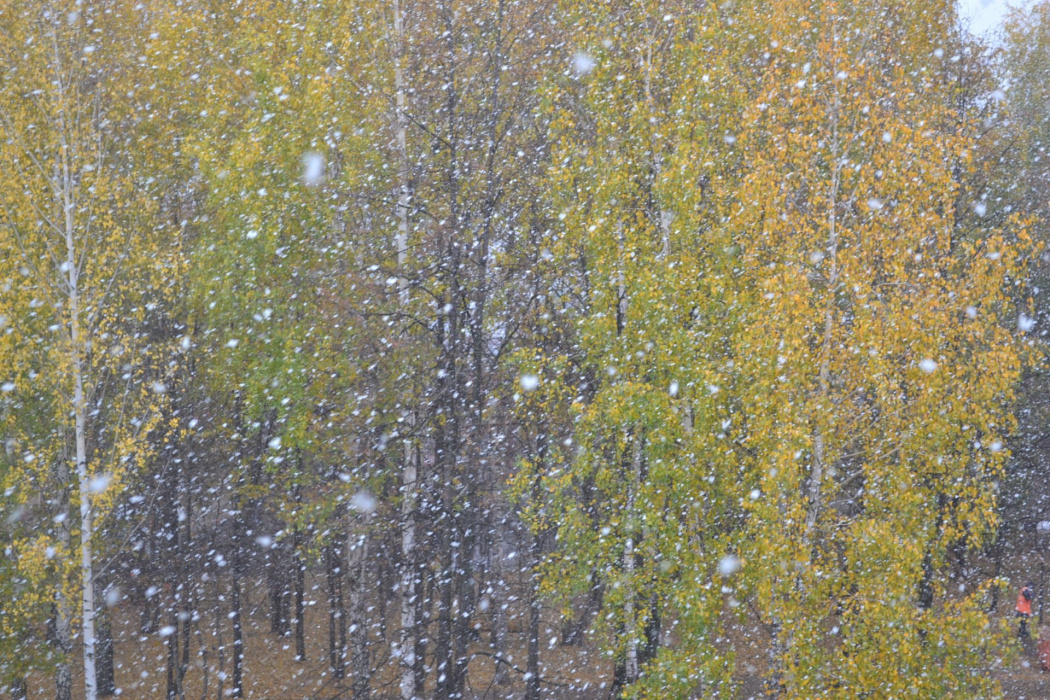 В понедельник циклон из Скандинавии принесет снегопад в Татарстан