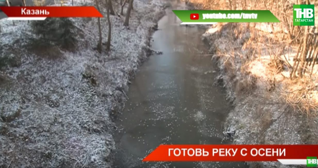 В Татарстане бобры атакуют волонтеров при расчистке рек (ВИДЕО)