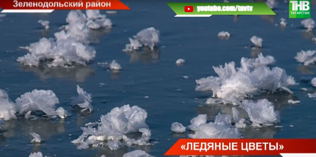 Под Казанью расцвели «ледяные цветы»: Озеро Ильинское стало раем для любителей селфи (ВИДЕО)