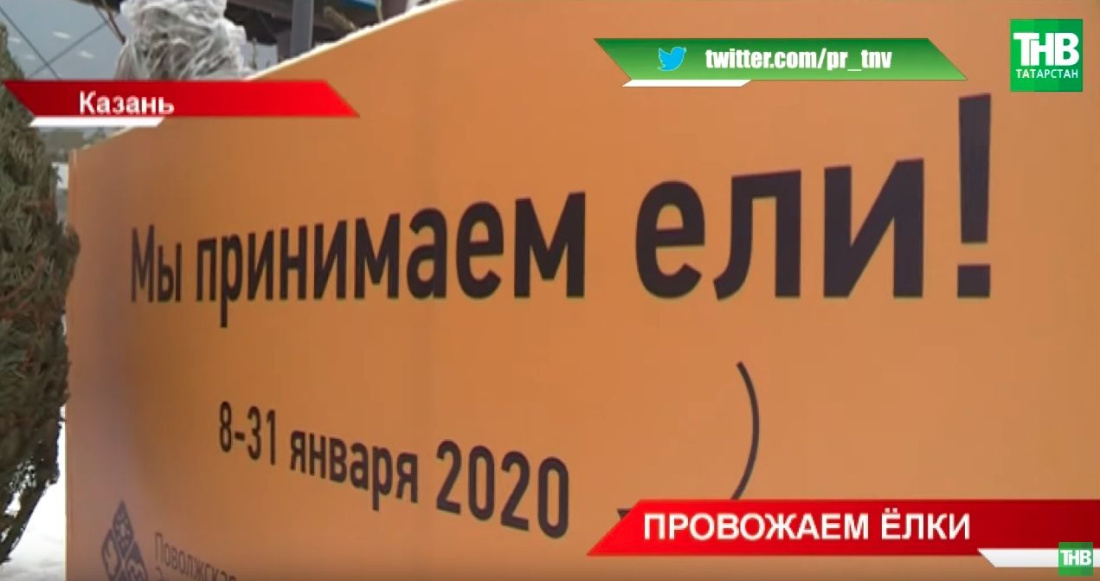 В Казани открыли пункты по утилизации новогодних елок (ВИДЕО)
