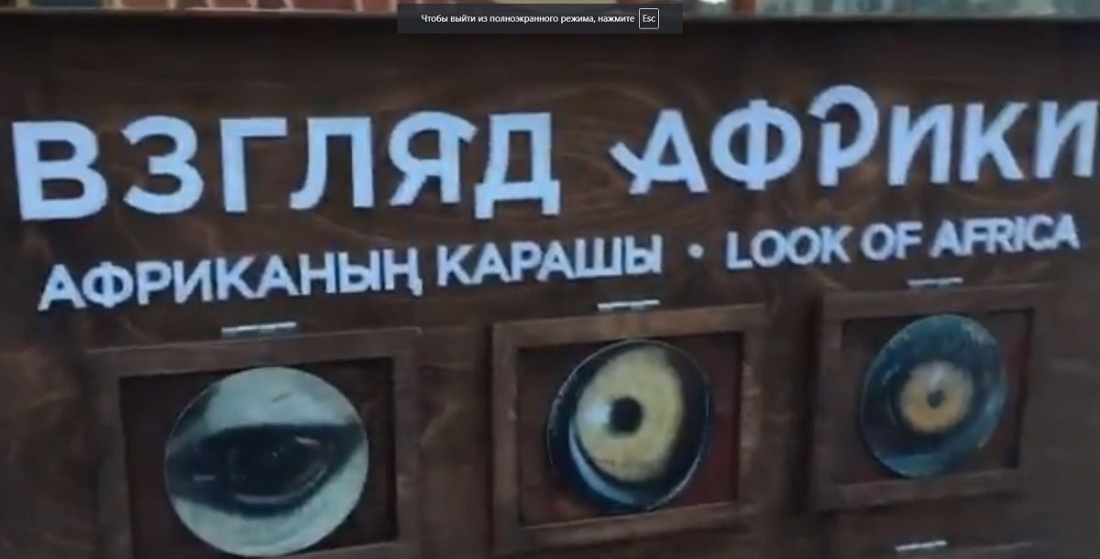 СМИ раздули скандал из-за стенда в зоопарке Казани