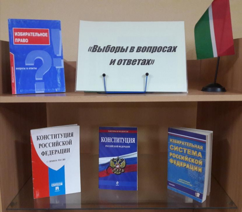 День голосования по поправкам в Конституцию решено сделать оплачиваемым выходным