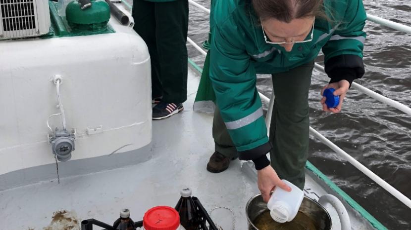 Аномально теплая погода вызвала цветение водорослей в Тетюшах