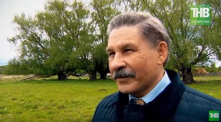 Роберт Миннуллин «Я сам в замешательстве, какие же стихи нужны детям» - видео