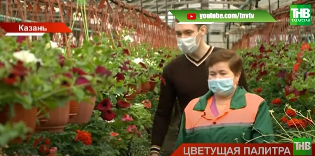 В мае в Казани расстелют цветущий ковер - видео