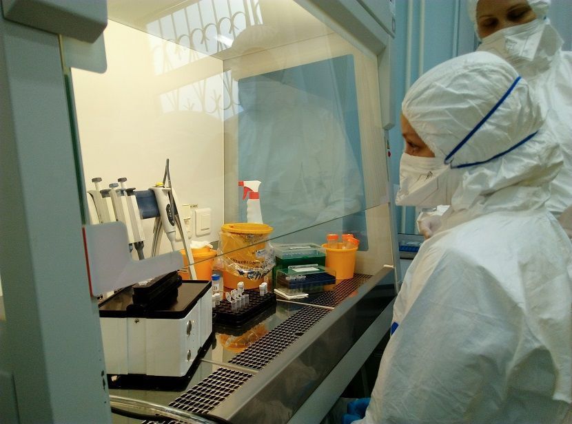 Ученые из Казани создали экспресс-тест на антитела к COVID-19