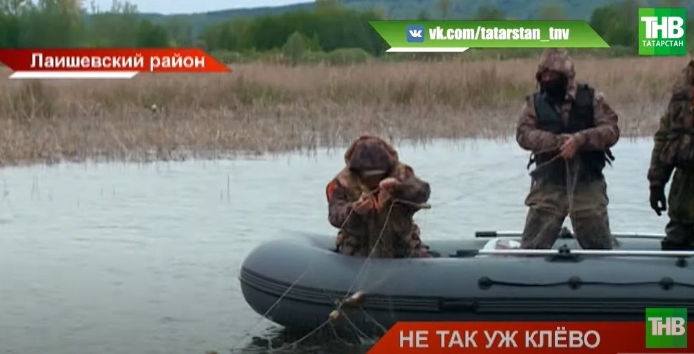 «Операция «Нерест»: рыбаки вылавливают штрафы вместо рыбы – видео
