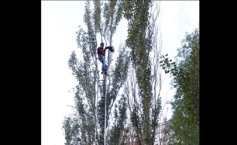 В Казани парень, которого уговаривали слезть с дерева, упал на землю
