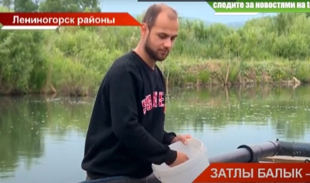 Лениногорск районында яшәүче әтиле-уллы Намазовлар гаиләсе күпләп затлы керкә балыгы үрчетә башлаган