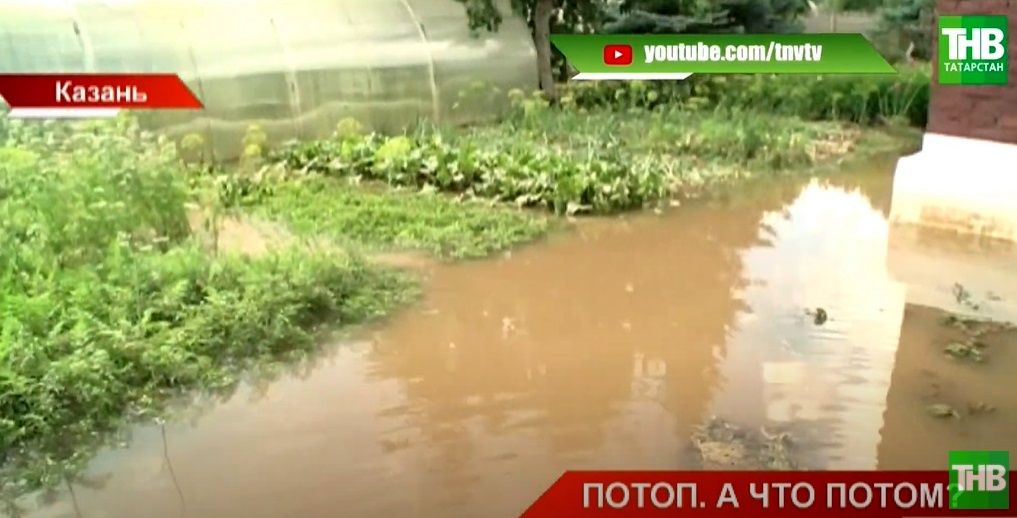 «Ливень в Новой Сосновке»: на огородах казанского поселка затопило дворы и погиб урожай - видео
