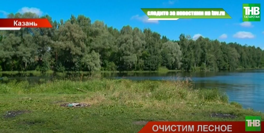 «Убирают на суше и под водой»: в Казани начали масштабную чистку озера Лесное – видео