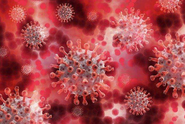 В России начинается заключительный этап испытаний вакцины от коронавируса