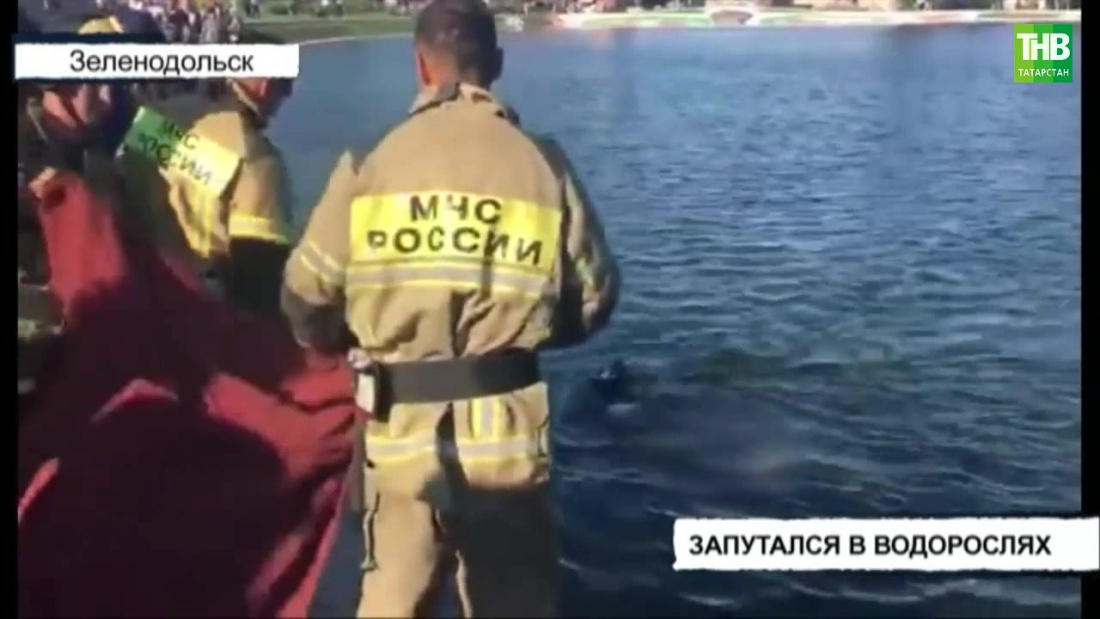 	14-летний подросток утонул в парковом озере в Зеленодольске	