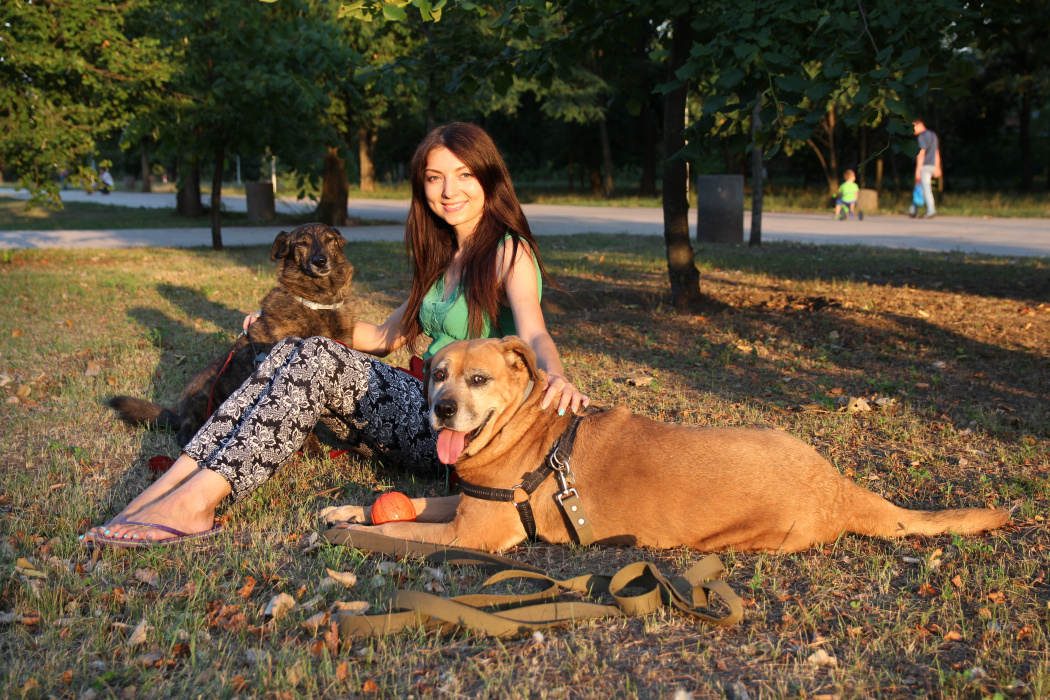 Виталия Кононова: «Во время самоизоляции многие люди, к сожалению, брали собак, для того чтобы самим почаще погулять» - видео