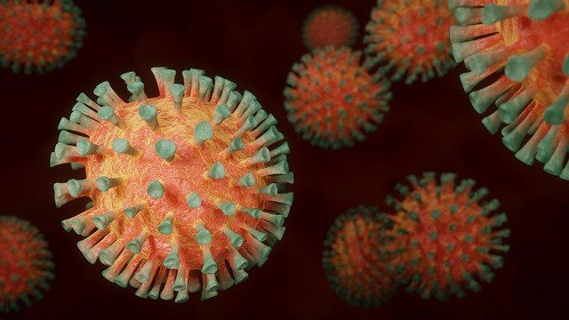В центре «Вектор» стартовал второй этап испытания вакцины от COVID-19