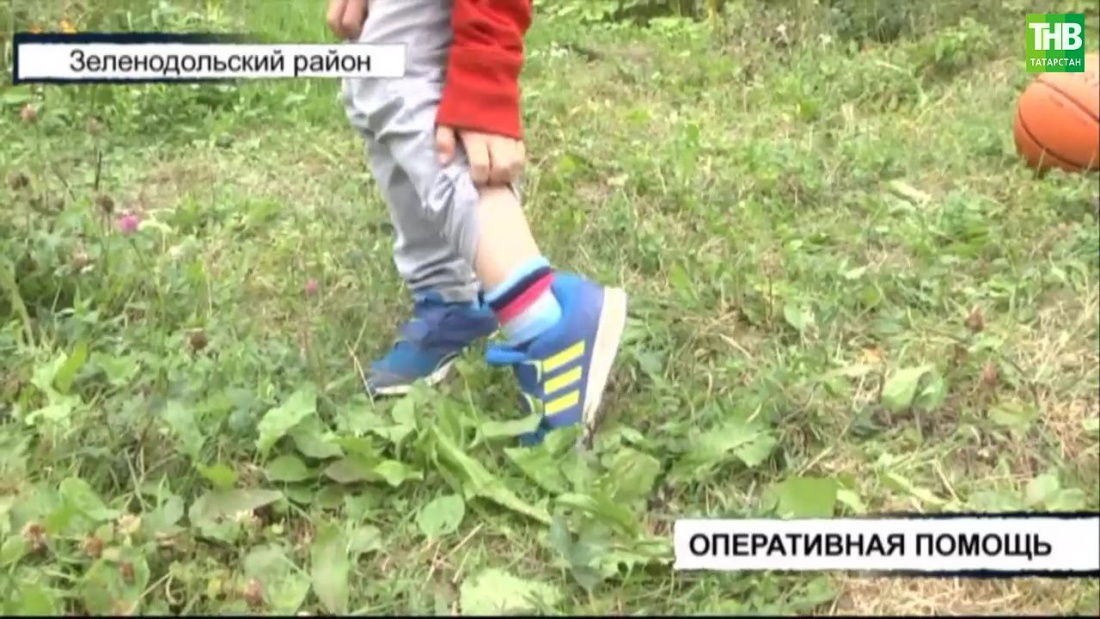 В Татарстане сотрудники ГИБДД доставили в больницу ребенка после укуса змеи