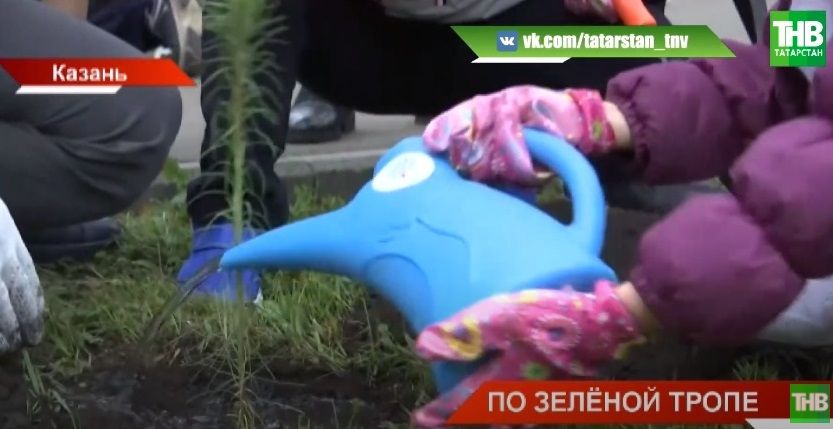 В Казани в детских садах и школах посадили 2,5 тысячи сосен и елей - видео