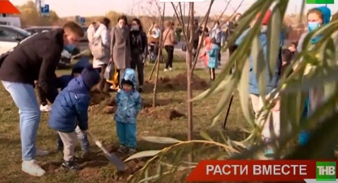 «Зерна будущего»: в Казани команда по волейболу вместе с волонтерами-медиками высадили аллею лип - видео
