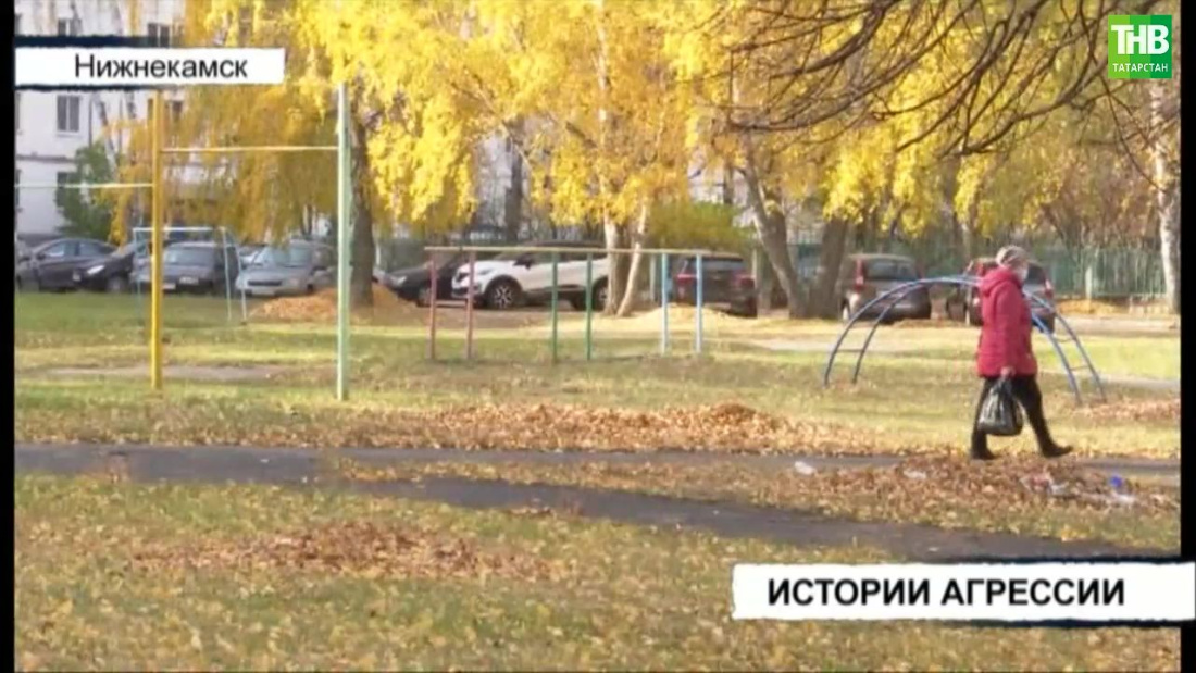 В Татарстане 48-летняя женщина нападала на беременных