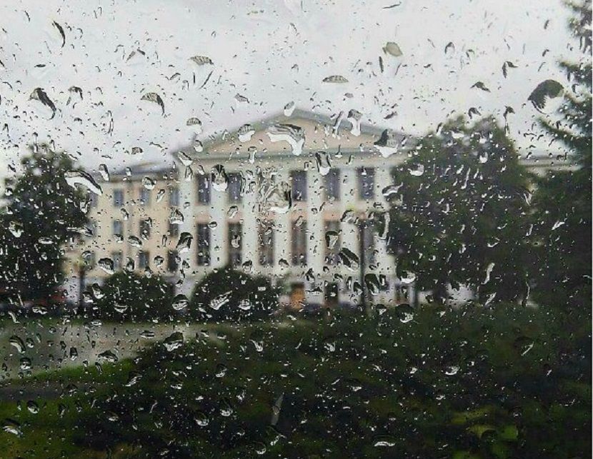 Дожди и сильный ветер прогнозируют синоптики в Татарстане 19 октября
