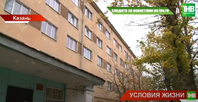 «Полчища тараканов»: студенты Казанской ветеринарной академии жалуются в интернете на ужаснее условия проживания в общежитии - видео