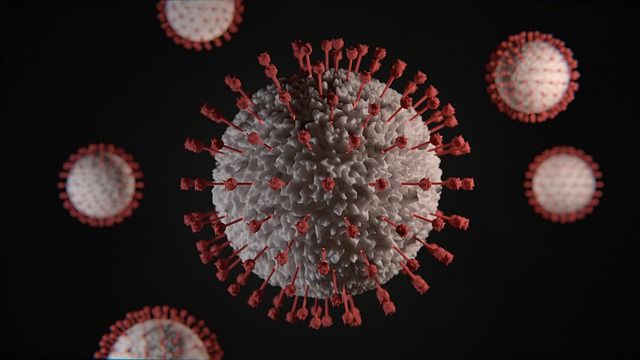 Российский иммунолог определил причины неуязвимости к коронавирусу