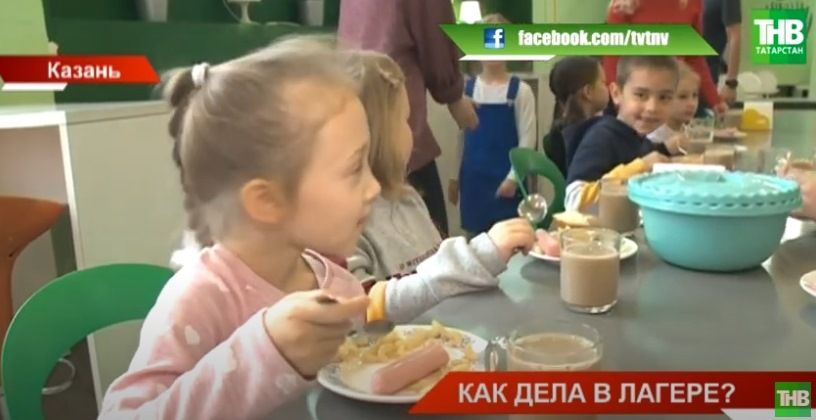 В Министерство образования Татарстана поступило 177 жалоб от родителей на школьное питание - видео