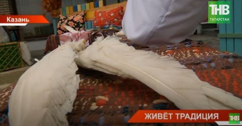 «Каз омэсе»: в центре Казани прошел древний татарский «гусиный» праздник - видео
