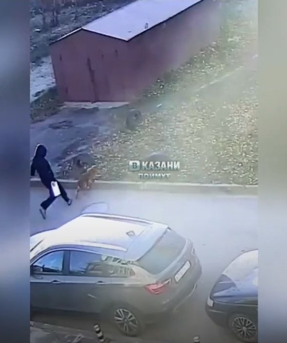 В Казани мужчина жестоко расправился с собакой - видео