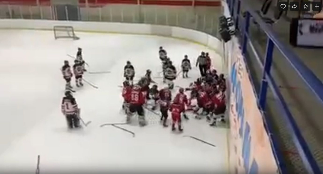 Видео массовой драки 13-летних хоккеистов на льду попало в сеть