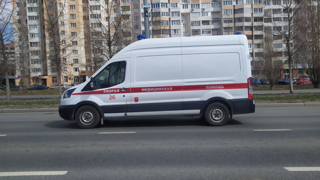 Пострадавшего после нападения собаки школьника в Осиново экстренно доставили в ДРКБ