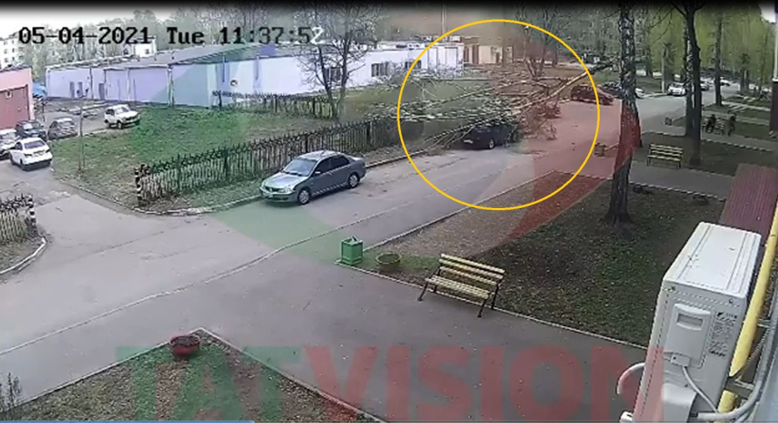 Дерево рухнуло на припаркованную «Ладу» в Нижнекамске - видео
