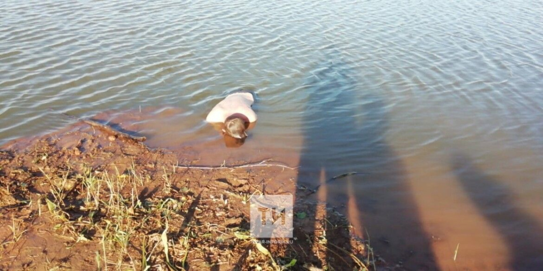 В озере под Челнами нашли тело 15-летнего утопленника