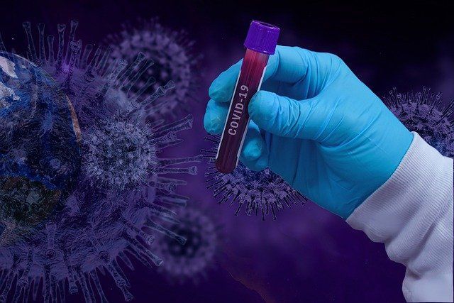 Ученые назвали категорию людей с самым высоким уровнем антител к вирусу COVID-19