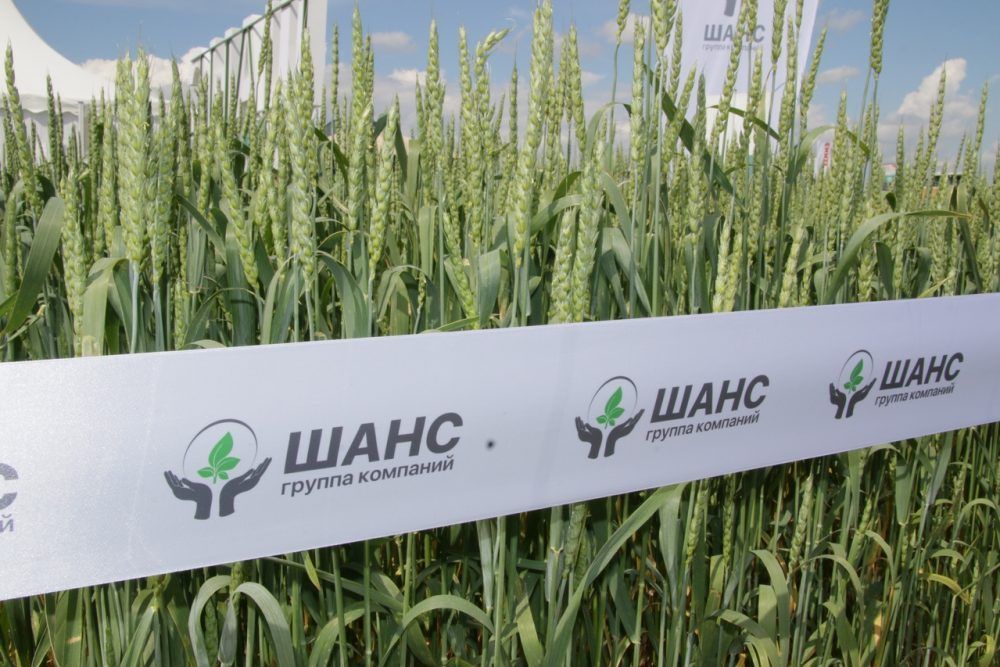 На международной агропромышленной выставке АгроВолга презентовали продукцию ГК "Шанс"