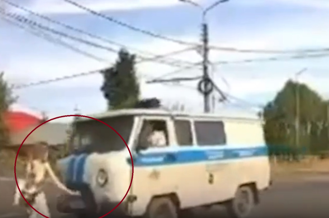 Момент наезда полицейского уазика на идущую по «зебре» девушку попал на видео